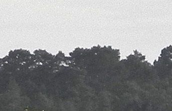 Den 16-17/9 -17 gästades ön av en Ägretthäger Ardea alba