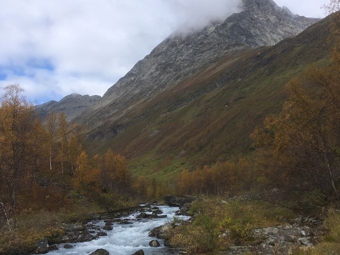 Jatkettiin toiselle puolelle vuonoa ja päätettiin vaeltaa Steindahlsbreenille eli Kivilaakson jäätikölle.