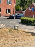 IMG_9485