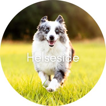 Helseside