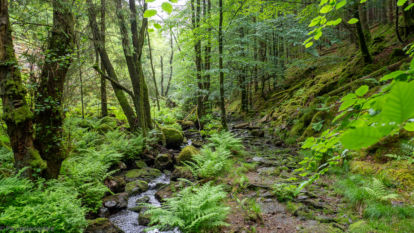 Die weitläufigen Wanderwege des Hallandsåsen