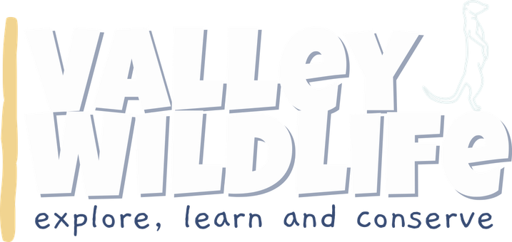 Valley Wildlife
