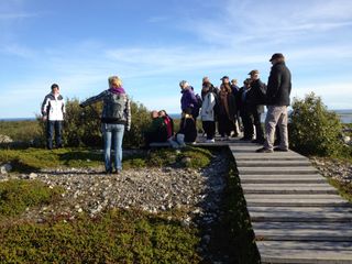 Kiviä on ladottu ympyränmuotoisesti  riveihin labyrintiksi, joka kuitenkaan ei ole labyrintti. Kuvassa venäläiset oppaamme ja YLEn kuvaaja katselevat Jatulinin, Jättiläisen tarhoja. Kuva Valma Lämsä.
