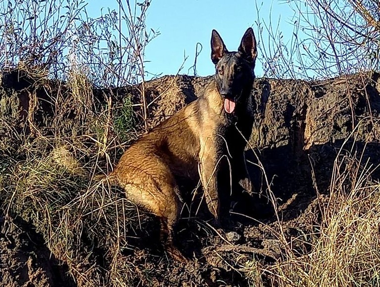 Screenshot 2026-02-25 094715