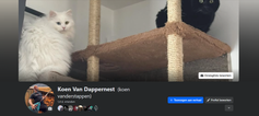banner facebook 21 02 2025