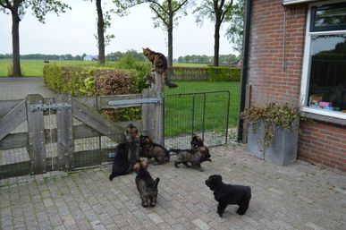 Kom nou spelen!!