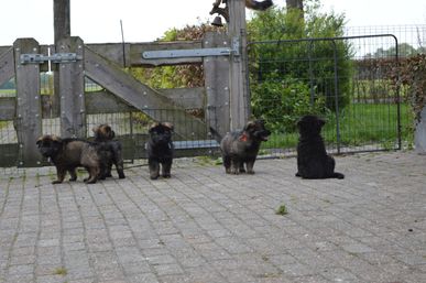He POES!!