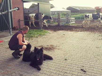 8 weken, wennen bij haar nieuwe thuis. Samen met haar half broer Scott