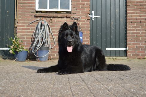 Daantje 1 jaar