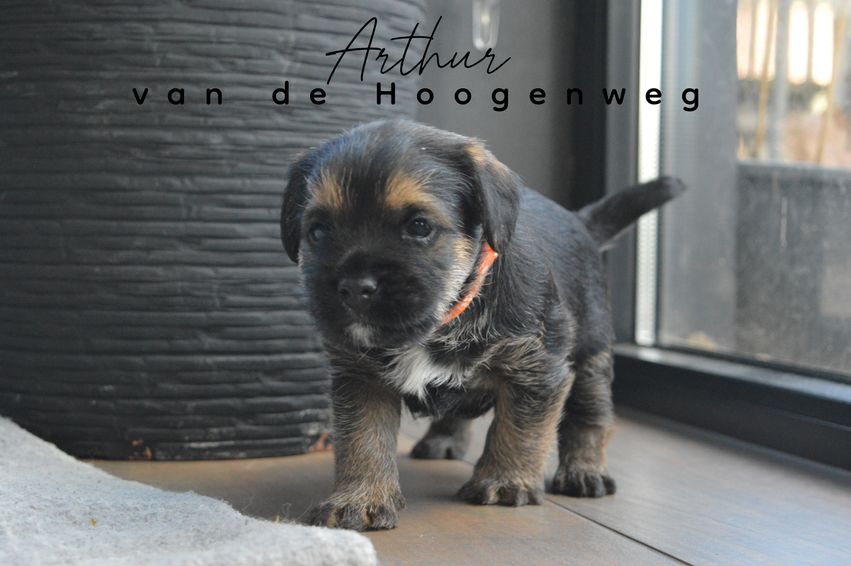 Arthur