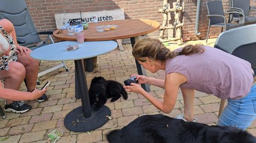 Nestcontrole door de NODHV