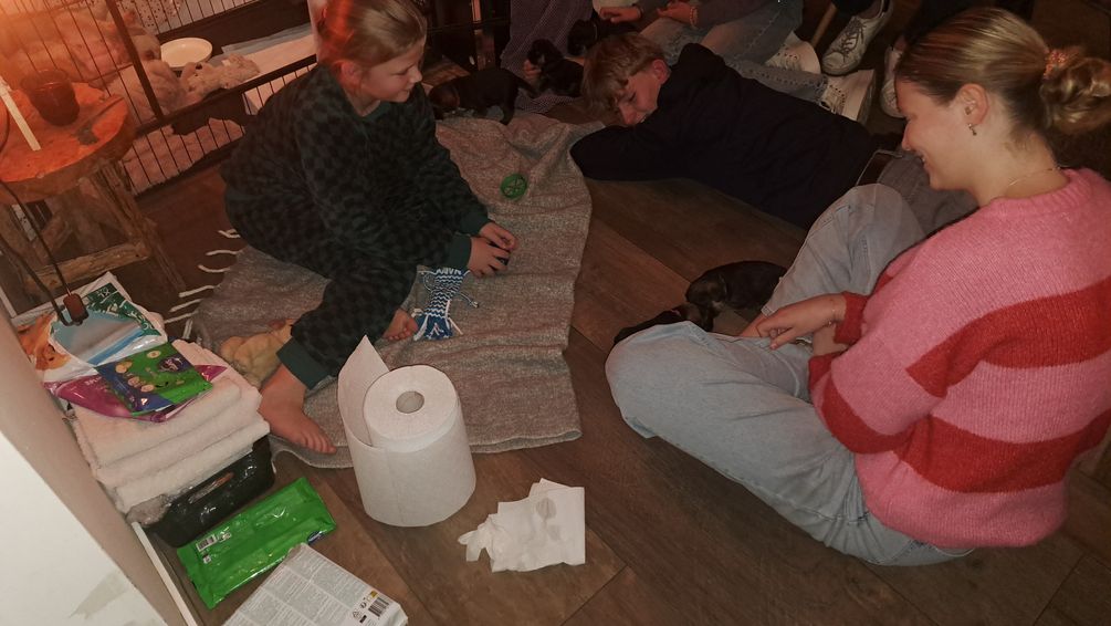 Gezellig met visite