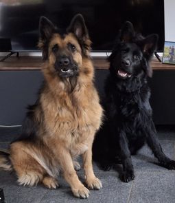 Samen met Charlie
