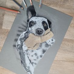 Hundezeichung Hundeportrait Tierliebe Tierzeichung Buntstift