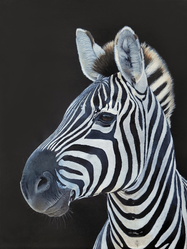 Zebra in Acryl - Stripes