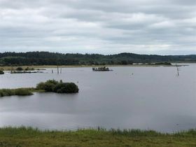 Bølling Sø