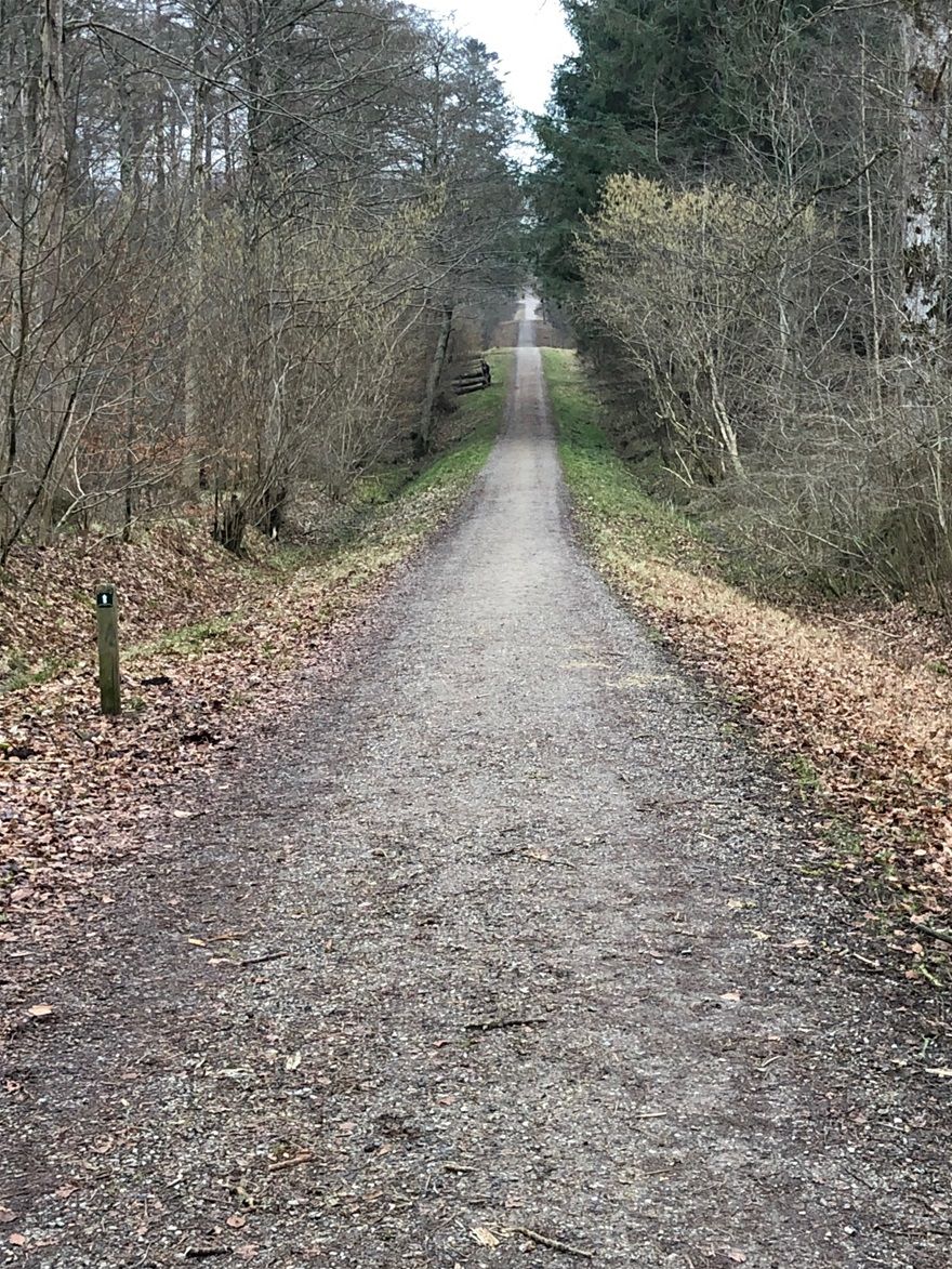 Fægyden