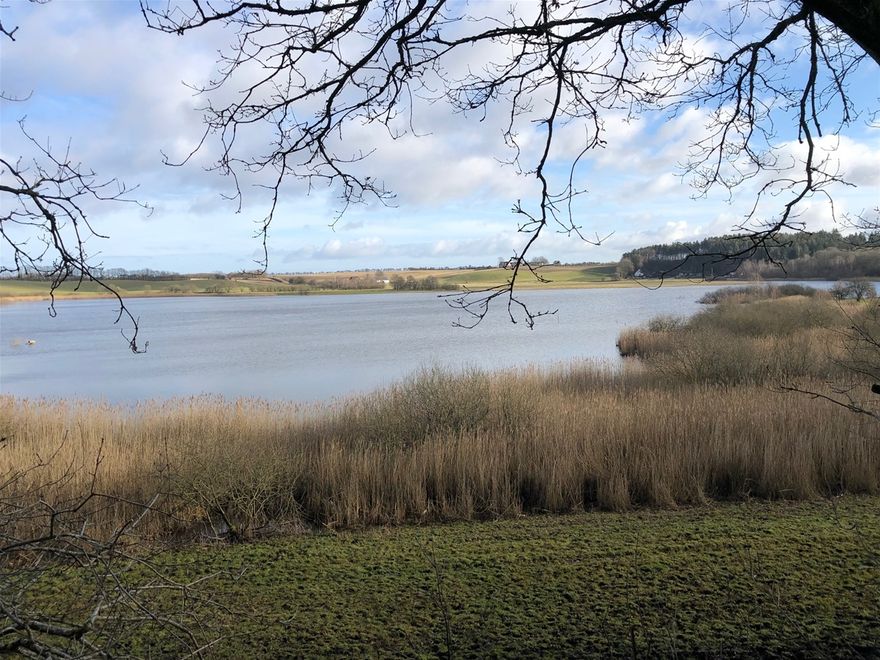 Udsigt ud over Dystrup Sø