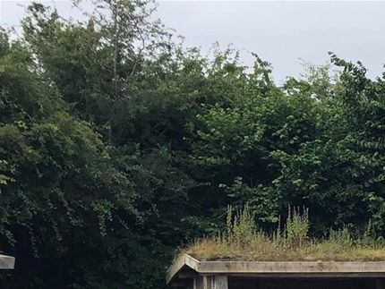 Egå Engsø - shelterpladsen