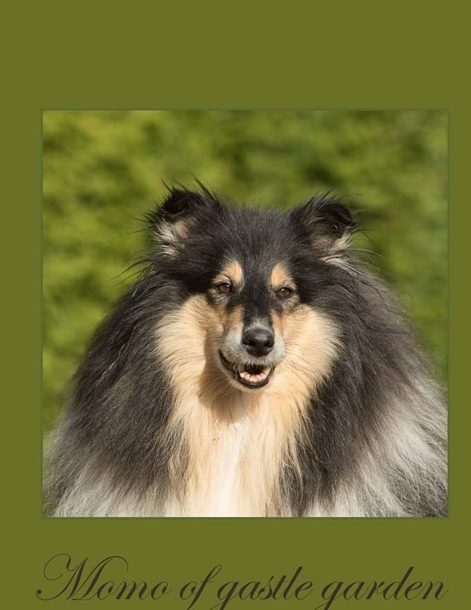 Momo of Gastel Garden