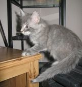 08Dave_01
