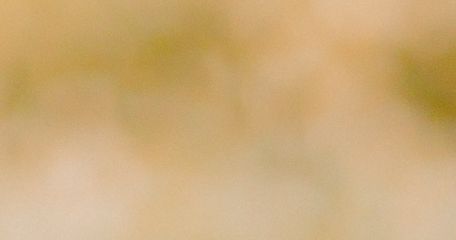 Schulangst; Prüfungsangst, Kinder, Jugendliche; Angst, Mobbing