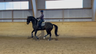 Galopp