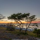 _DSC0159