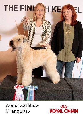 JWW-15 & BOS at World Dog Show, Milan Italia (16 kk/months) photo FKC