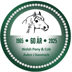 welsh