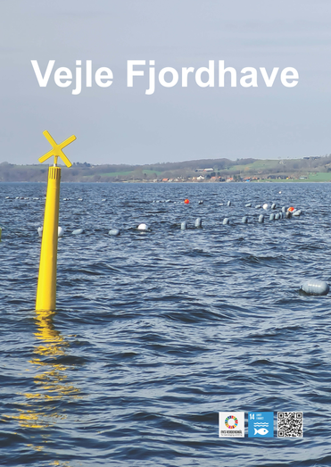 Udsigt til Vejle Fjordhave