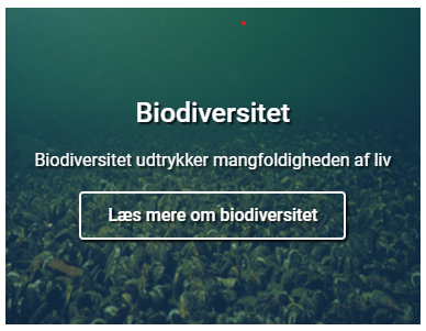Biodiversitet