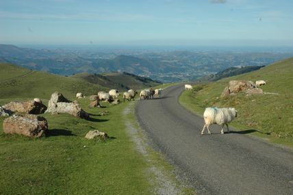 petites routes du réseau secondaire