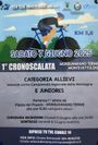 VOLANTINO