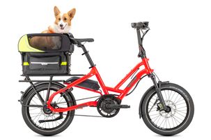 DogRoofMini-HSD-dog