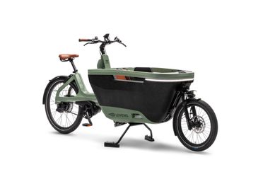 Moss Green (Styling Set brun)