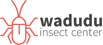 Wadudu
