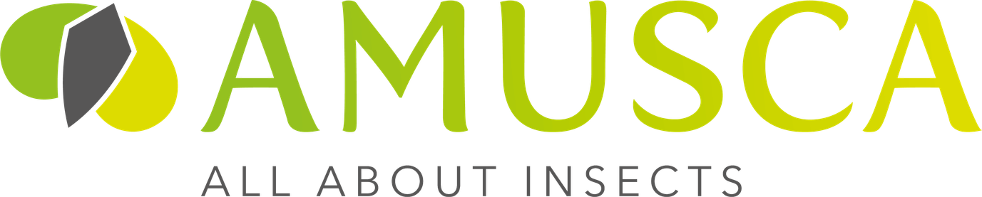Amusca