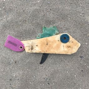 Plastic fishing
