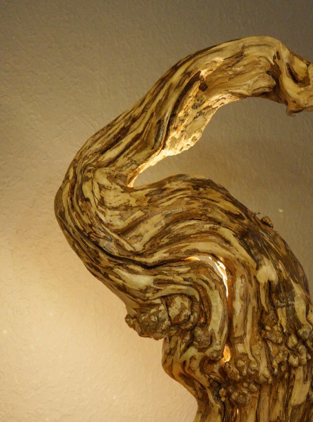 Hedera root working on your imagination