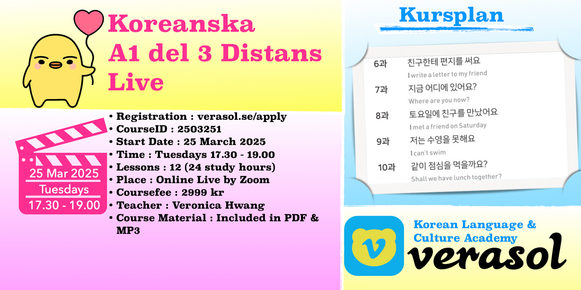 Verasol Korean Course Online Offline, Learn Korean in-class course, Koreanska distanskurs