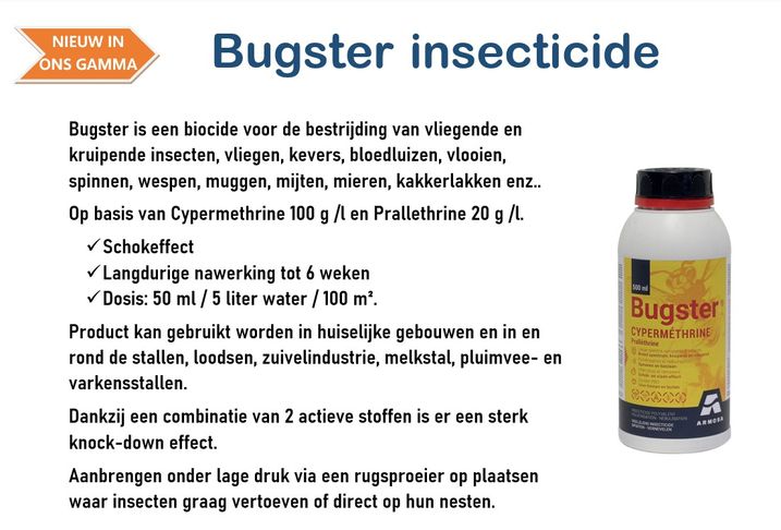 Bugster