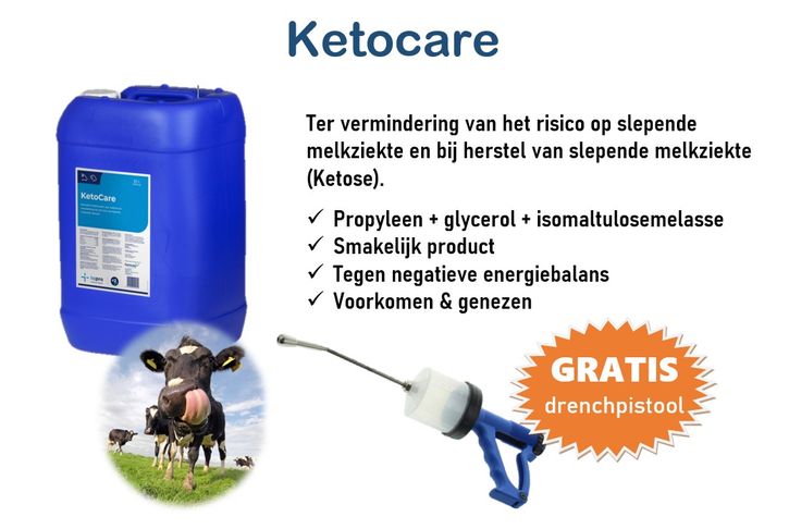 Ketocare