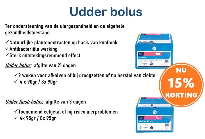 Udderbolus