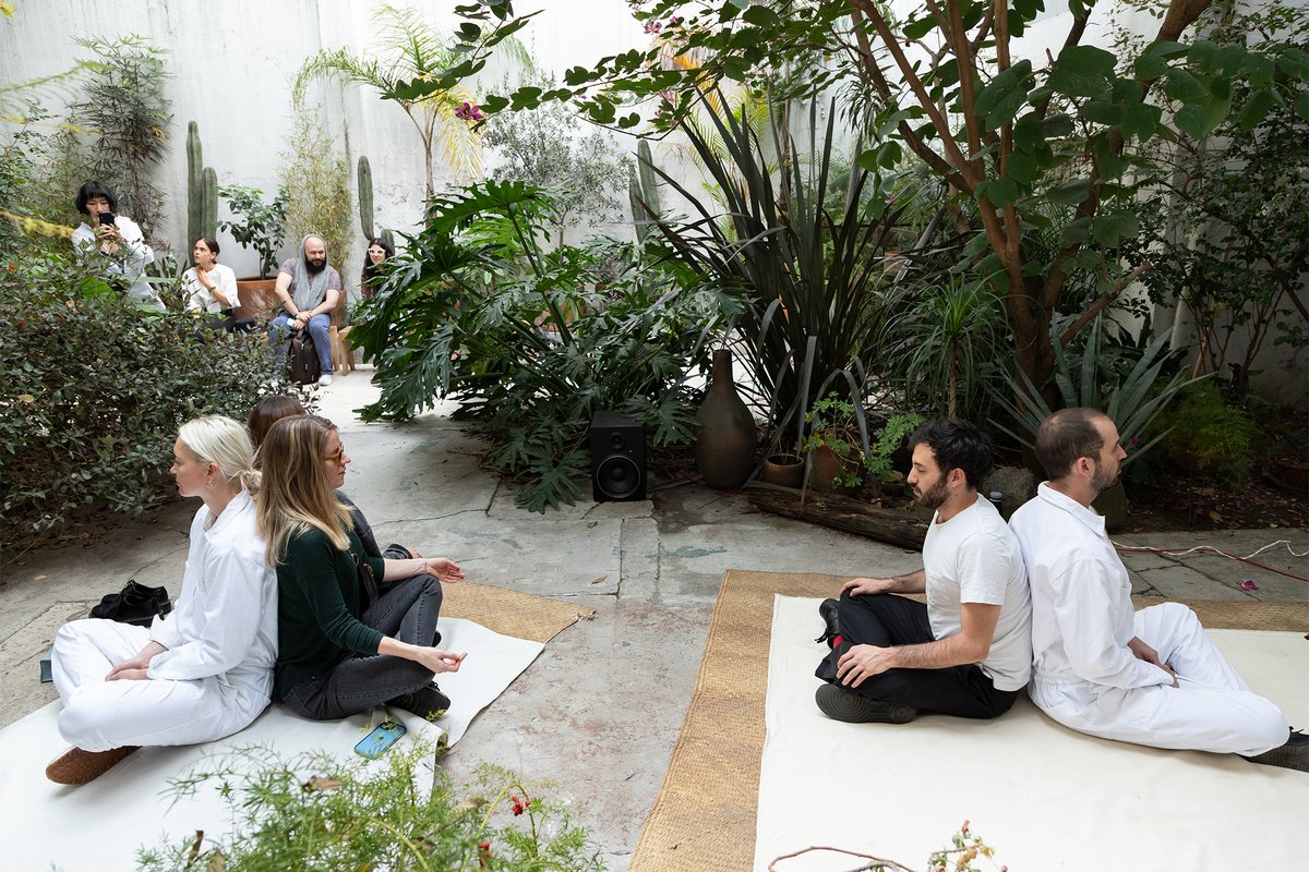 _MG_3242 copy _MG_3242 copy