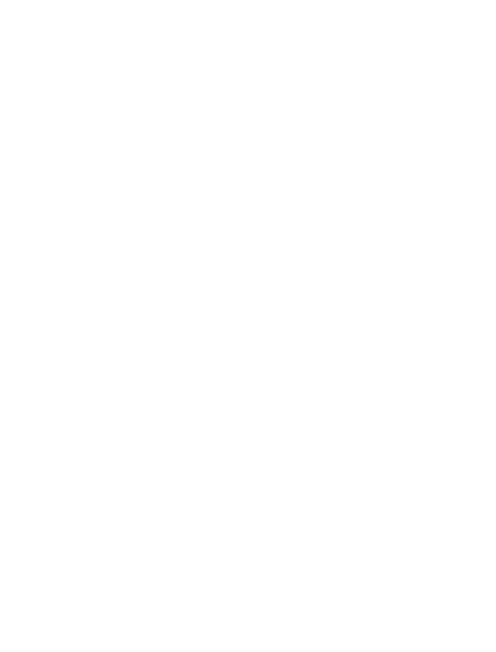 VEntertainment