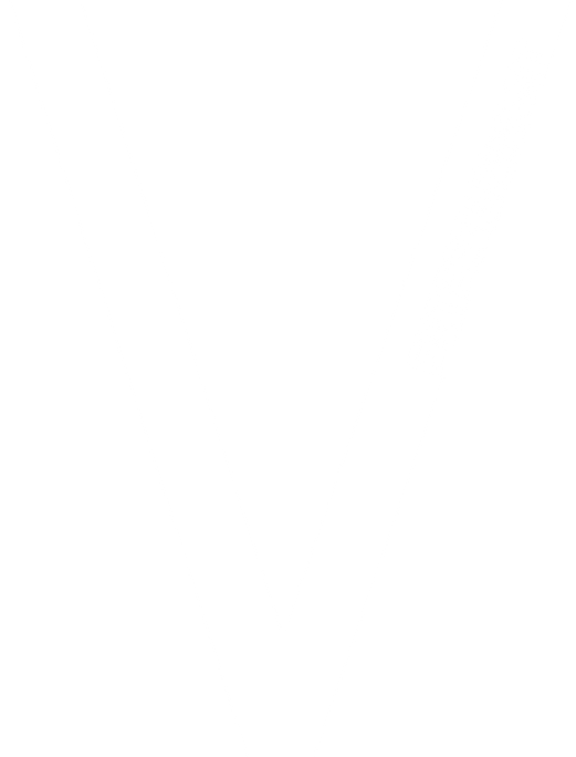 VEntertainment