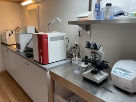lab bilde