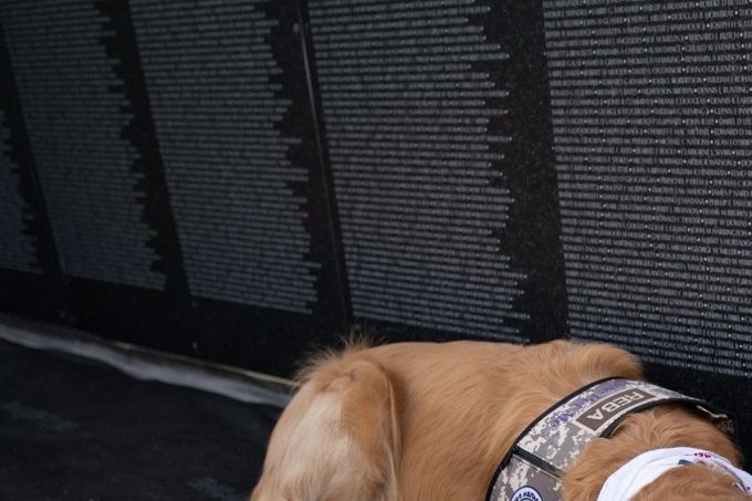 Today Veteran Joe took me to a VFW Post in Warrenville, IL to see a replica of the Vietnam Memorial Wall. There were so many names on it I got a little sad. :( Then there were flags with names of soldiers who died. Veteran Joe said they are only dead if we forget their names. That is why they had someone reading the names of everyone on the Wall. I met some people who were glad I was there but they didn't want their picture taken...and that's ok. I think that this Memorial Day will have a new meaning for me. I hope it does for you too.  :) LCC Kare 9 Military Ministry