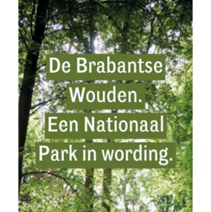 Brabantse wouden projecflyer